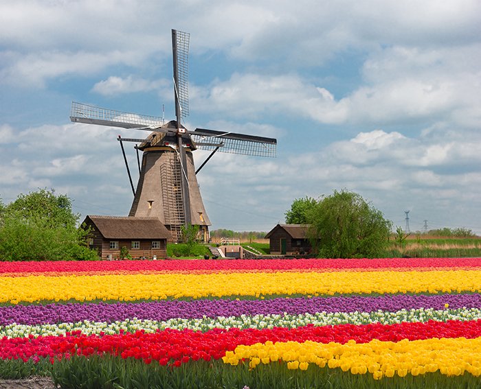top-Netherlands-app-development-companies