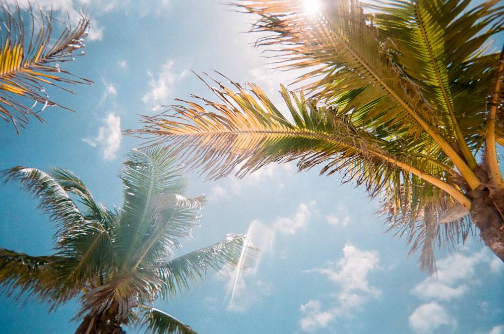top mobile app development companies florida 2019