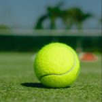 best sports fan loyalty apps